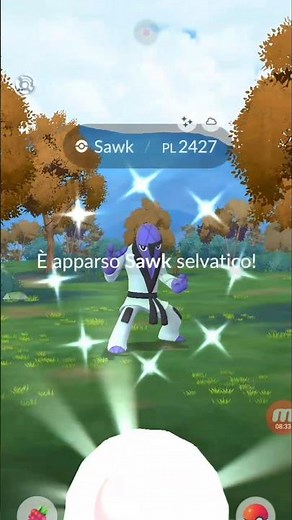 A wild Shiny Sawk appeared! #youtubeshorts #sawk #shinypokemon #pokemongo #shinyhunting #shorts