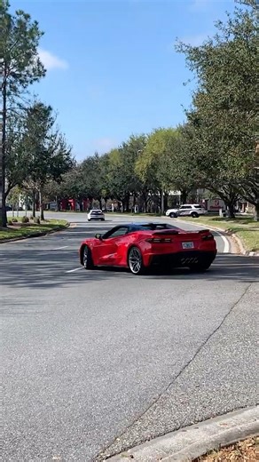 Mustang getting pulled over at c&c Winter garden #carsandcoffee #mustang #police