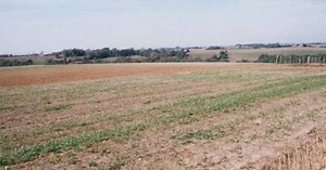 Remplissez le formulaire pour demander une terre agricole en Algérie - AgriAlgerie.com