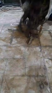 30K views · 51 reactions | Amazing work with amazing skills  #Amazing #usareels #foryou #tricks #tips #amazingfacts | Aspirin Crafts | Facebook