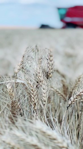 Merrett Contracting on TikTok