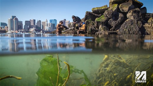 At UMass Boston, we're tackling some of the world's toughest sustainability challenges — starting at the water's edge in #BostonHarbor. In partnership with the Stone Foundation's Stone Living Lab, UMass Boston is leading coastal resiliency research and driving climate justice innovations right here in our capital city with the first-ever living seawalls in North America. Learn more about the Stone Living Lab: https://brnw.ch/21wSiNL | University of Massachusetts