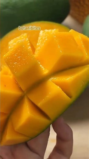 Mango vs Pineapple: Which Fruit Is Better for Digestion?