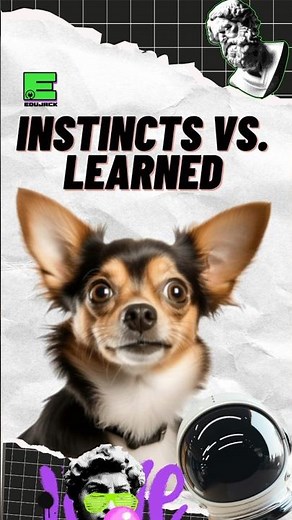 Cracking the Code: Instincts vs. Learned Behaviors in Nature #shortvideo #science nce #sciencefacts