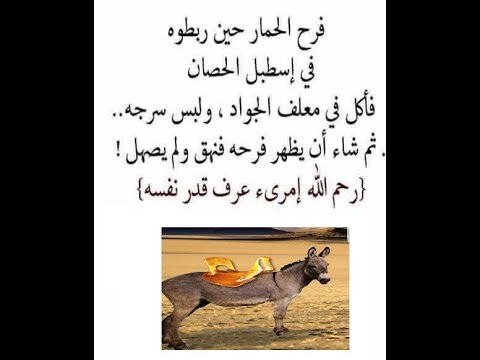 Télécharger installation google chrome