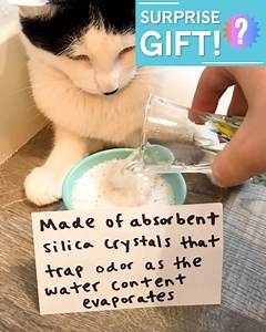 5.9K views · 220 reactions | See why cat parents are raving about this revolutionary litter. Get 20% off + a BONUS toy with code HAPPY20  | PrettyLitter | Facebook