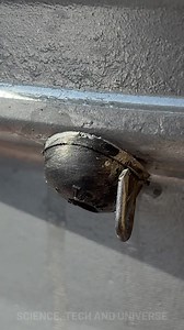 210K views · 445 reactions | Quick and easy tire fix | Science, Tech and Universe | Facebook