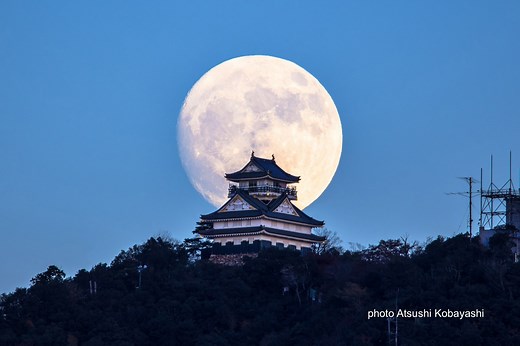 岐阜城｜観光スポット｜岐阜県観光公式サイト 「岐阜の旅ガイド」