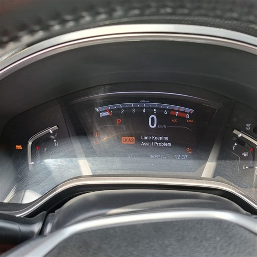 Lane Keep Assist problems