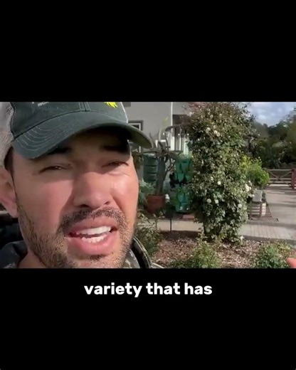 The Fruit Tree Mistake That Can Ruin Your Harvest