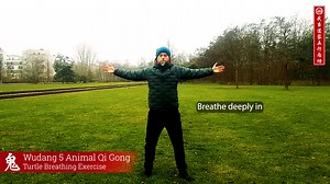 Turtle Breathing Exercise 🐢🌬 The Turtle Breathing Exercise, part of the Wudang Five Animal Qigong, is characterized by its gentle and simple movements. This practice is designed to enhance breathing while harmoniously integrating light stretching exercises for the chest and arms with the flow of breath. By improving your breathing, this exercise not only promotes physical relaxation but also helps to calm the mind, fostering a sense of inner peace and balance. 🌟 Follow Step by Step: ‭1. Pull 
