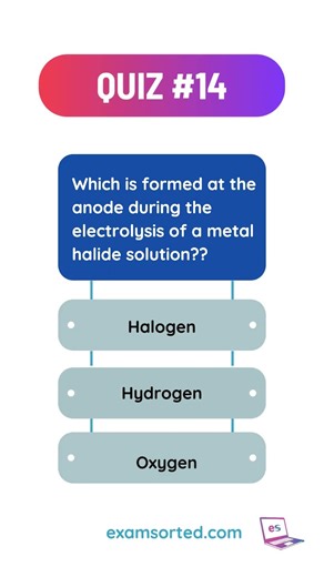 What forms at the anode during electrolysis? 🤔⚡