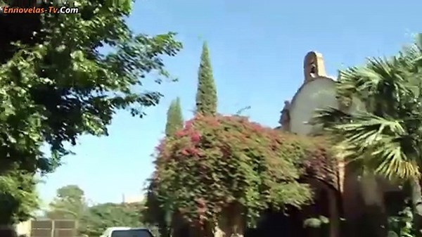 140. Destilando Amor