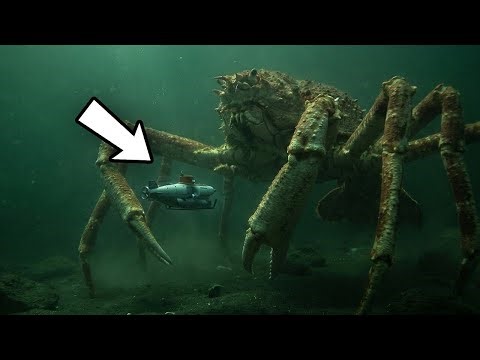 Why Do Deep-Sea Creatures Grow into Terrifying Giants?