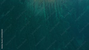 Bird view Croatia Istria coast with clear blue, turquoise seaside water at a natural beach coast bay in forest and pine trees. Aerial drone air flight at tourist holiday destination on nature vacation