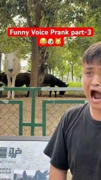 Funniest Animal Voice Trolls Ever Part-3 | Chinese Guy Voice Prank with Dogs