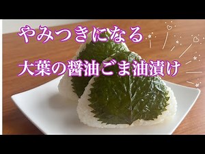 余っても大丈夫！やみつきになる大葉の醤油ごま油漬け