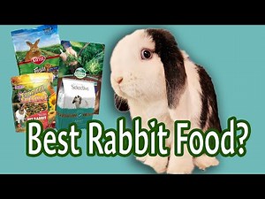 Rating Rabbit Pellets | Best and Worst Brands