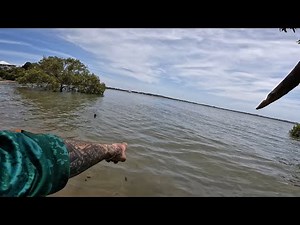 Basic survival hand spears anyone can make ￼