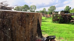 Incredible Crafting of a Dog Sculpture from Raw Wood