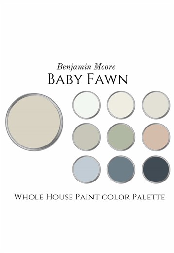Transform Your Home with BM Baby Fawn Paint Color