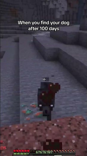 WHEN YOU FIND YOUR DOG AFTER 100 DAYS