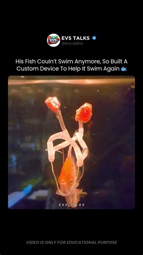 His Fish Couldn’t Swim… So He Built THIS 🐟😳