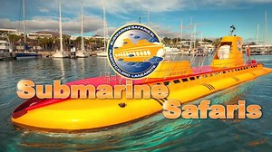 A hammerhead shark spotted just outside Puerto Calero. This was filmed on board our submarine. Unfortunately, many species of Hammerhead Sharks are at a high risk of extinction. Hammerhead fins are considered a delicacy in many countries. Fisherman can sell these fins for very high prices, so many times a Hammerhead is captures, has its fins removed, then is dumped back into the Ocean. Of course, without fins, the shark is unable to swim and subsequently dies. Humans are the #1 threat to all spe