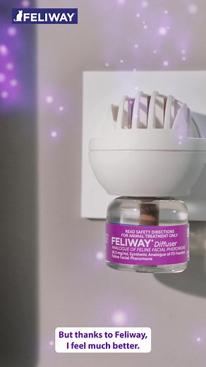 FELIWAY helps cats feel calm and relaxed even if they are facing a change in their routine. Try it risk-free and see the difference for yourself | FELIWAY
