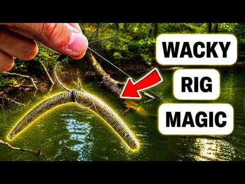 Catching Bass NONSTOP on a Wacky Rig 🔥 | Kerr Lake Bass Fishing