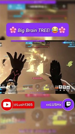 Big Brain TREE! 🧠🌸 #overwatch2 #gaming #lifeweaver #overwatchclips #ow2