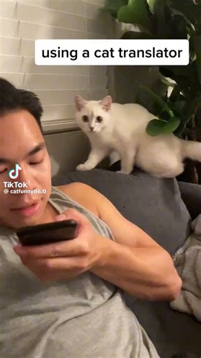 Wow!! Ever used a cat translator? Well these guys tried it and were surprised at the results. 😅