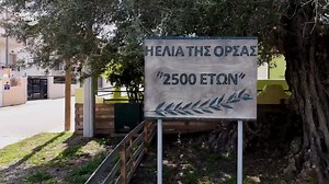 🌿 Ελιά της Όρσας – 2500 χρόνια ζωντανής ιστορίας! Από τη Ναυμαχία της Σαλαμίνας μέχρι σήμερα, στέκει αγέρωχη, μάρτυρας αιώνων! ✨🚁🌍 📍 Η αρχαιότερη ελιά της Σαλαμίνας όπως δεν την έχετε ξαναδεί! #cyprusmedia #ΕλιάΤηςΌρσας #2500ΧρόνιαΙστορίας #Salamis #AncientGreece #DroneFootage #HistoryAlive #NatureAndHistory #GreekHeritage | Cyprus Media