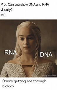 How to Revise for A-Level Biology - Proven A* Strategy