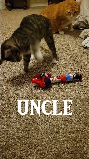 SAY UNCLE