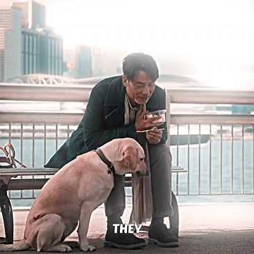 This Loyal Dog Waited 3 Years for His Owner 😭🐶 #film #movie #recap