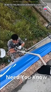 190K views · 501 reactions | #AmazingFacts #DidYouKnow #InterestingFacts #FactCheck #MindBlowingFacts #FunFacts #KnowledgeIsPower #IncredibleFacts #TrendingFacts #FactOfTheDay | Need To Know Reel | Facebook