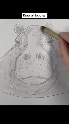 Draw a realistic hippo 🦛 This is the longer (7 minute) version where I teach you line by line in real time. Let me know what you think— would you like to see longer videos like this?