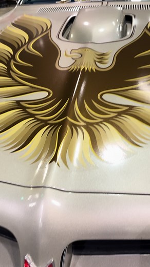 Carguyvideos on TikTok