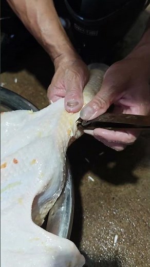 Duck feather plucking demonstration - a good tool to improve efficiency