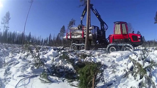 Mighty Machines at Work for Premium Timber Transformation