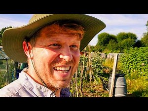 Early July Wee Garden and Allotment Tour