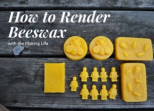 How to Render Beeswax (Turn Dirty Honeycomb into Clean Beeswax for Projects) - the Making Life