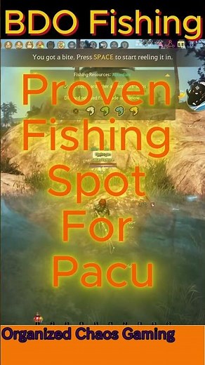 Black Desert Online (BDO) Proven Fishing Spot for Pacu