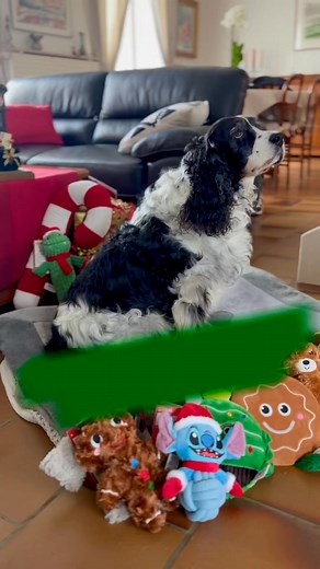 🎄 Remplissez la box de Noël de votre animal avec Maxi Zoo. Découvrez une sélection de peluches craquantes, de jouets et d’idées cadeaux pour composer une box unique pour votre chien ou votre chat: douceurs, doudous, surprises… tout pour un Noël aux petits soins. 🧸🐶🐱 | Maxi Zoo France