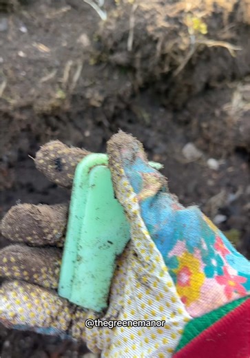 Exploring a Historic Colonial Bottle Dump Discovery