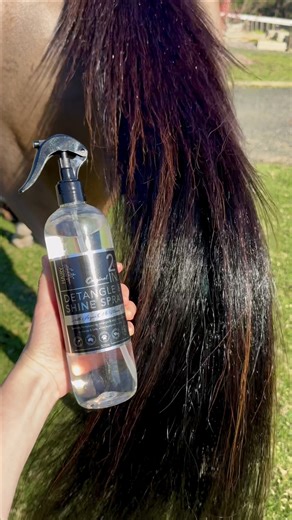 The original scent is BACK IN STOCK! 🌟 You no longer need multiple products to give your horse that silky, soft, shiny show day tail - simply spray 2 In 1 Detangle & Shine Spray into a clean or dirty tail, brush & go! This best seller is 100% vegan, cruelty-free, sulphate, silicone & paraben-free, and is proudly made in Australia 🙌🏼 Get your hands on it now at https://www.hairypony.com.au/products/horse-detangle-shine-spray | Hairy Pony