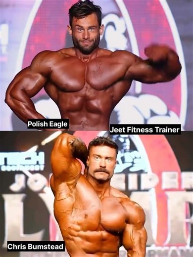 Chris Bumstead VS Polish Eagle | One Biceps Comparison #shorts #chrisbumstead #polisheagle #biceps