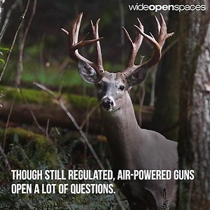 Jalapeño Deer Poppers Recipe