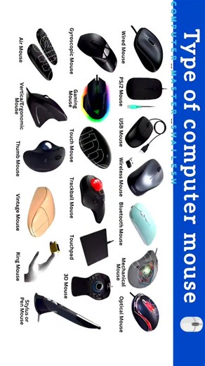 Computer Master Shailesh on Instagram: "Type of mouse with pictures.... #computer #trendingreels #mouse #keyboard #excel #word #powerpoint #trendingreels #viralreels"